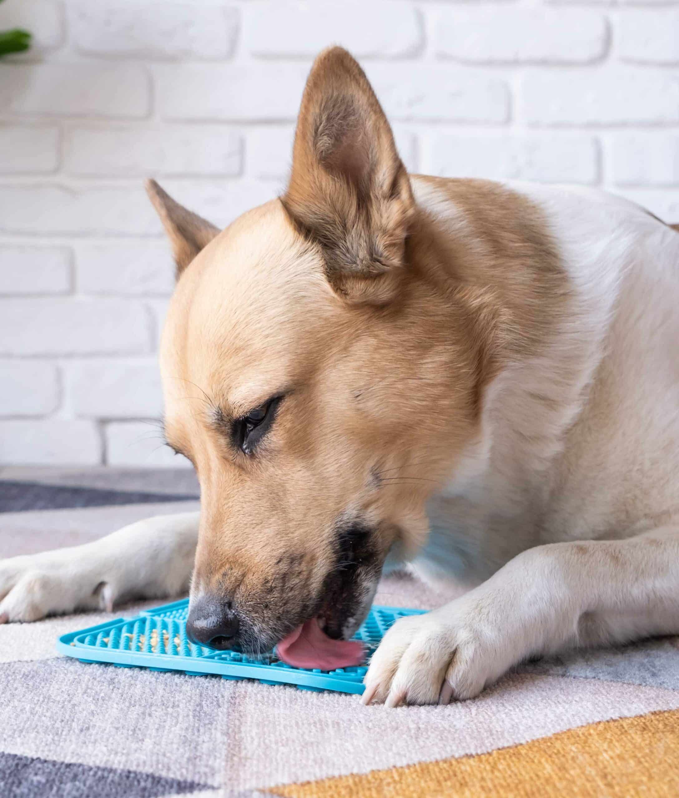 Our Nutritional Counseling Services in Shreveport