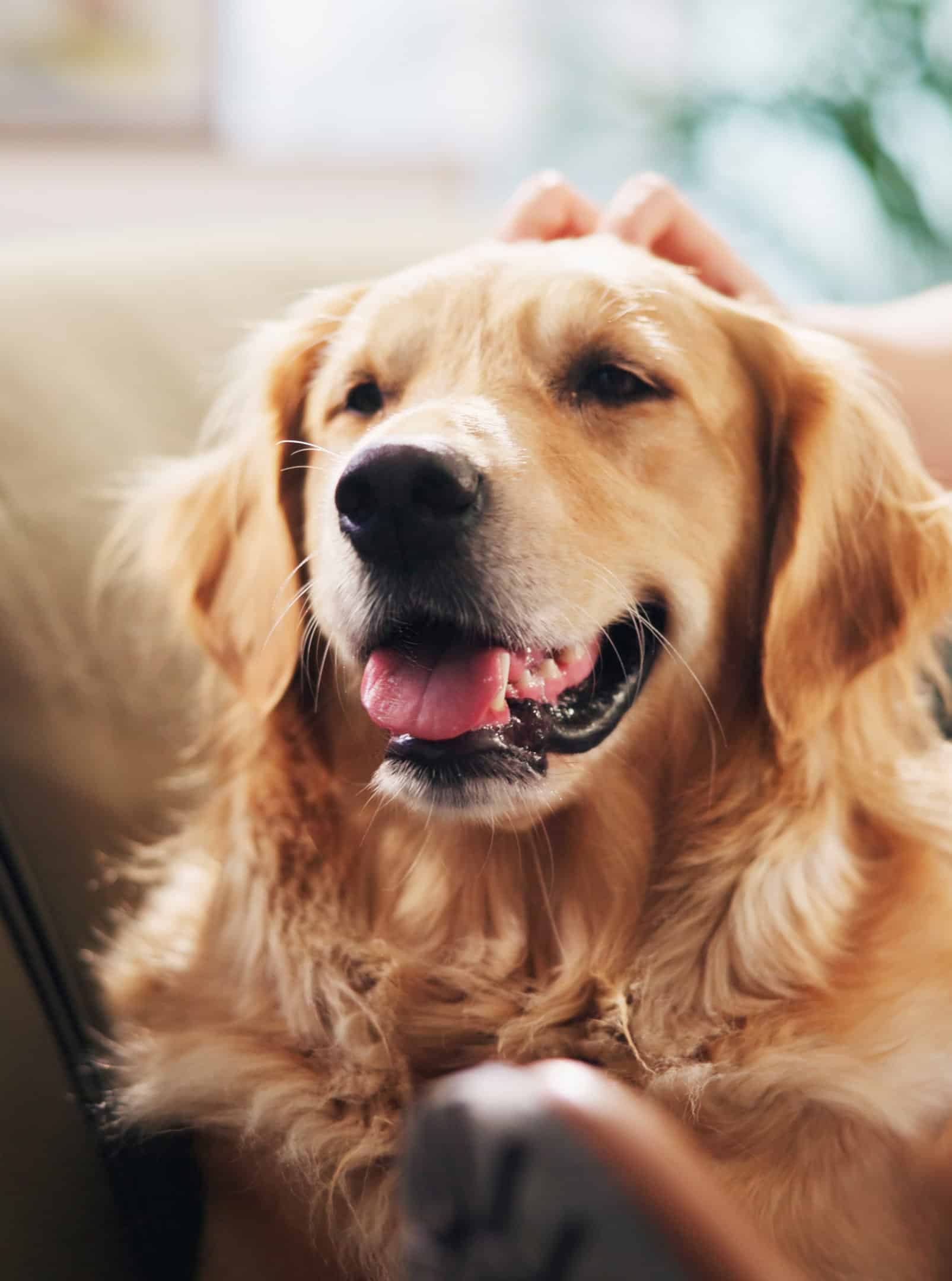 Prevention Makes a Difference